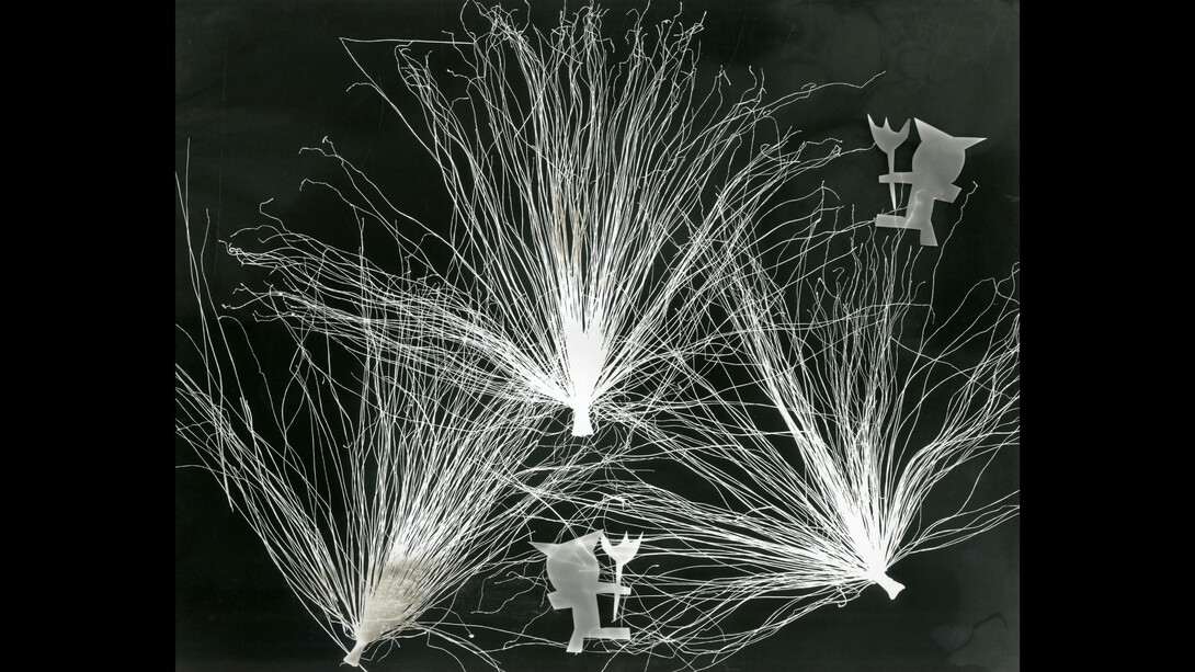 Maria Garcia, Photogram. Courtesy the artist and Throckmorton Fine Art, NYC