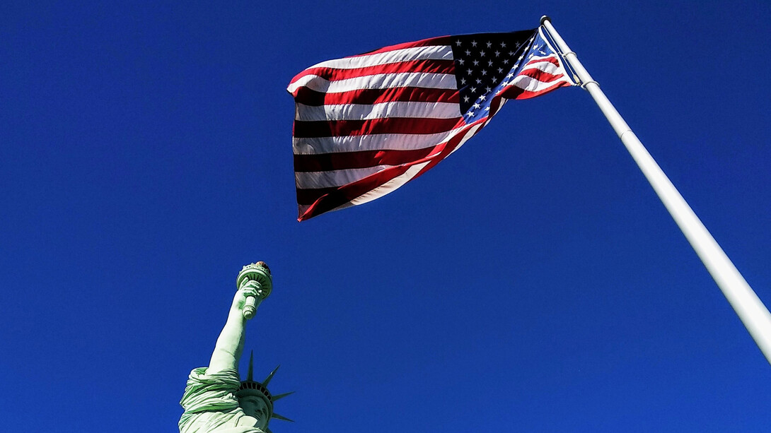 The November 2020 U.S. elections