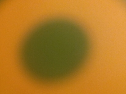 Stefano Donno. Tran(ce)s Energetica. Courtesy of Fondazione Palmieri