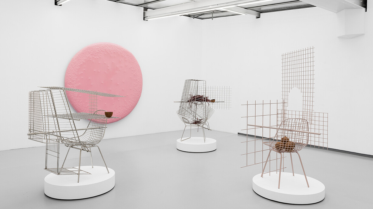 David Renggli. Courtesy of Valentin