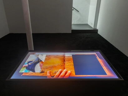 Abbey Williams, Natural sound, exhibition view. Courtesy of Broadway Gallery