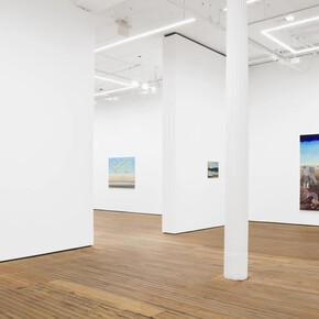 Charles Avery, The Eidola, pigs and blades of the Inner Vast, exhibition view. Courtesy of Grimm