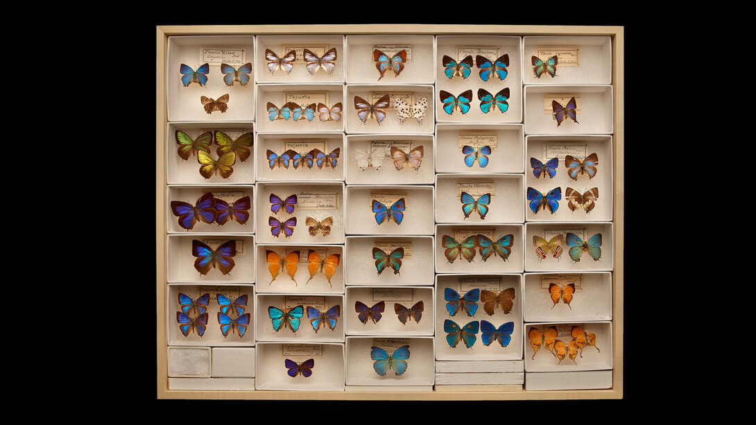 Grainger Science Hub. Courtesy of Field Museum