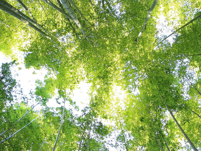 Natura