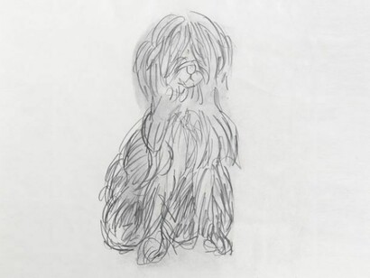 Anne Arnold, Small Dog, c. 1980s, pencil on paper, 13 1/4 x 10 1/4 inches © Anne Arnold, courtesy Alexandre Gallery, New York