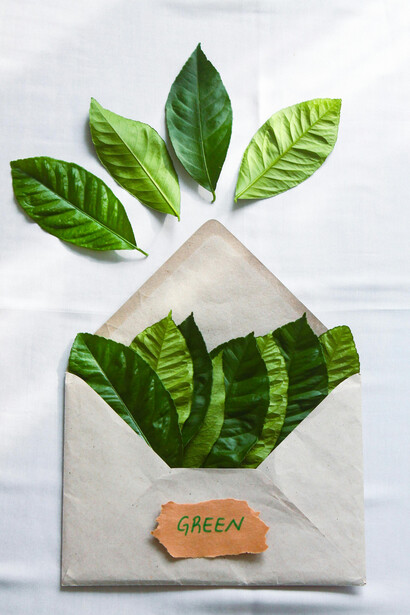 Reflexões sobre o impacto do desenvolvimento urbano e as lutas por preservação