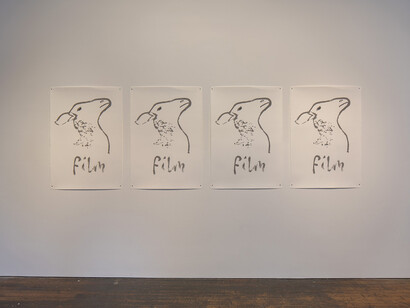 Nashashibi/Skaer, Pygmalion margaret ursus uan, exhibition view. Courtesy of Peter Freeman, Inc.