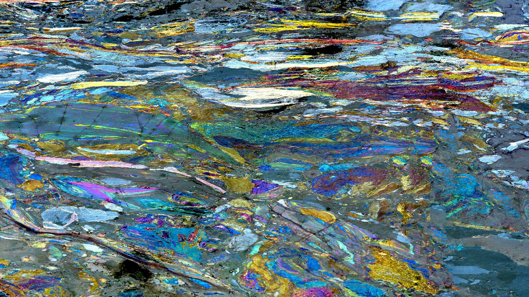 Steven Hirsch, Rhode, 2014. ©Steven Hirsch