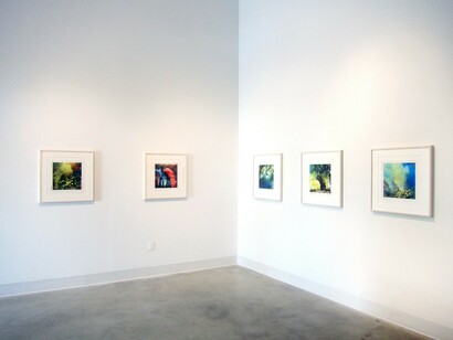 Various artists, Flaming June | Body heat, exhibition view. Courtesy of Gavlak Gallery