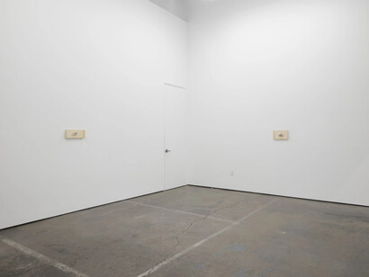 Grant Mooney, Cation c. (i-vi), exhibition view. Courtesy of Altman Siegel