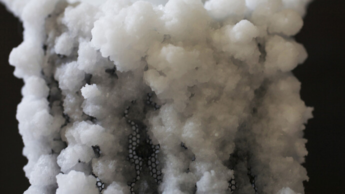 Charlotte Charbonnel