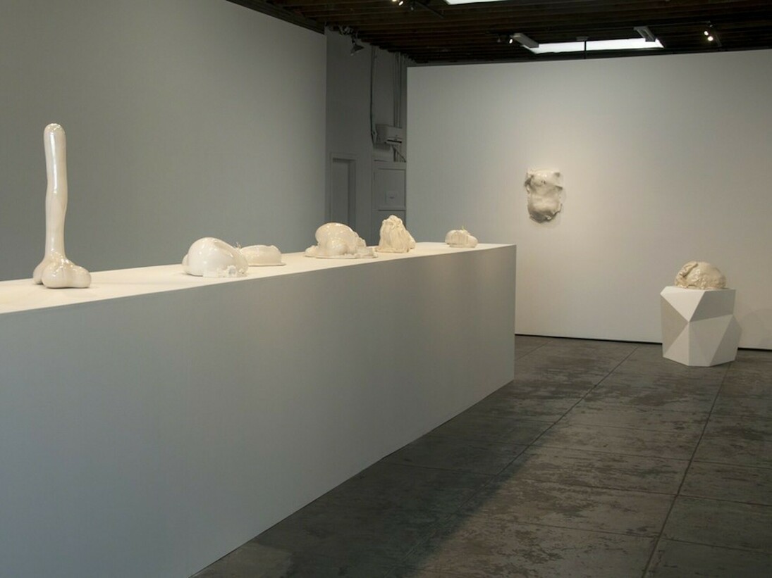 Sharon Engelstein. Ever to Find, Exhibition view. Courtesy of Wilding Cran Gallery 