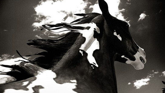 Benjamin Heller, "Cloud Horse", 2014 