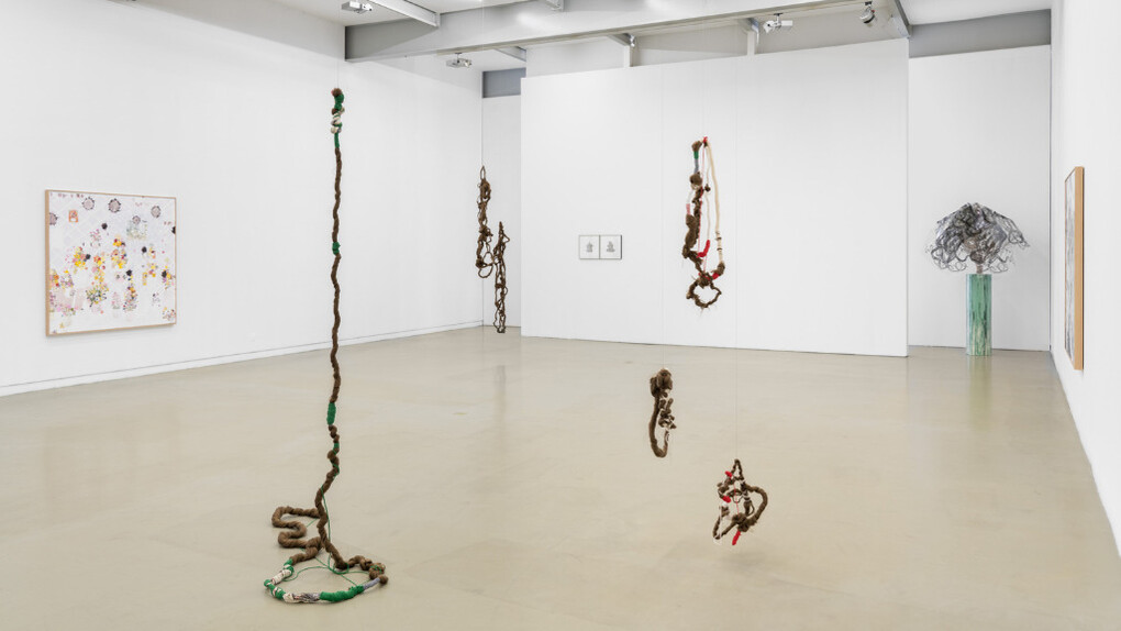 Lúcia Prancha and Rudi Brito, On top of the knee, exhibition view. Courtesy of Galeria Filomena Soares
