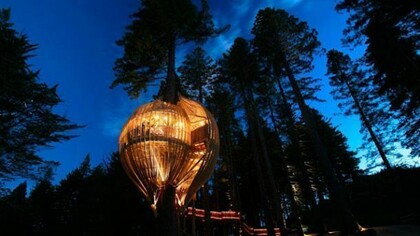 Una casa fra gli alberi