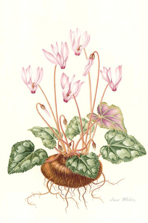 Seeds of the Land. Courtesy of Israel Museum