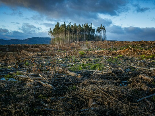 A mudança climática é causada por atividades humanas e ameaça a vida na Terra como a conhecemos. Com o aumento das emissões de gases de efeito estufa, ela está ocorrendo a taxas muito mais rápidas do que o previsto. Seus impactos podem ser devastadores e incluem padrões climáticos extremos e variáveis, além do aumento do nível do mar