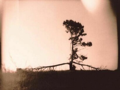 Vanessa Cowling, Published 2013/05/02, Full size is 504 × 480 pixels