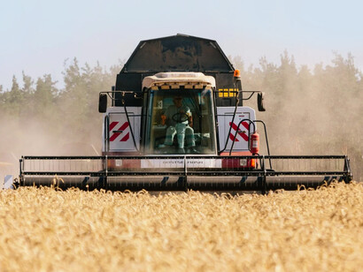 Russian-Ukraine war: the war in Ukraine in the spring is crippling wheat spring planting