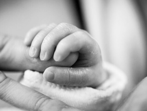 Human mothers stop giving the breast milk to their children replacing it with homogenized vegetables, fruits and meat