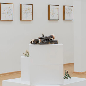 Tsai Kuen-Lin, Mae nam, exhibition view. Courtesy of SAC Gallery