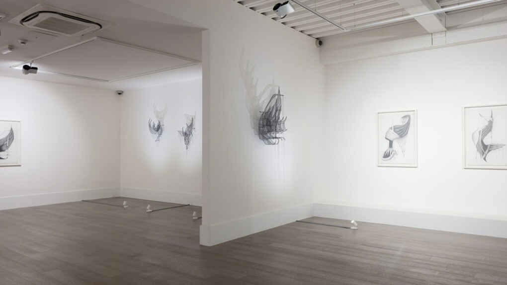 Afruz Amighi. Courtesy of Sophia Contemporary