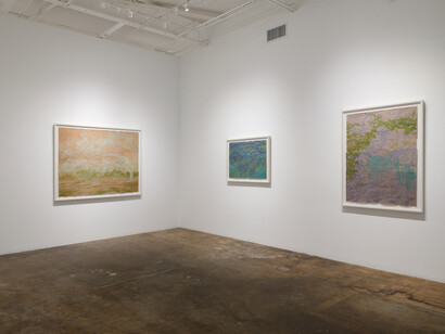 Maysey Craddock, Waterlines, exhibition view. Courtesy of Cris Worley Fine Arts