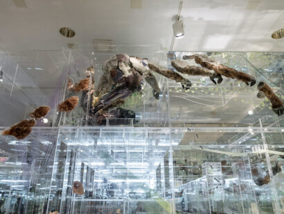 The Flux and the Puddle. Courtesy of Musée national des beaux-arts du Québec