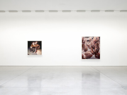 Moka Lee, Persona works, exhibition view. Courtesy of David Kordansky Gallery