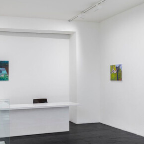 Rosalind Nashashibi, Tender horse, ausstellungsansicht. Mit freundlicher genehmigung der Galerie Urs Meile