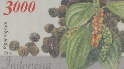 Stamp of Indonesia (2016) - piper nigrum, paying homage to the plant's origin