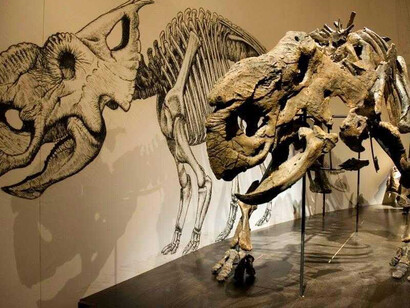 Dinosaur Hall. Courtesy of Royal Tyrrell Museum