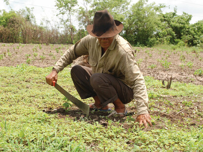 Campesino colombiano