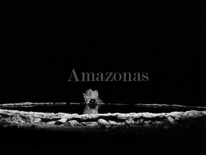 Sebastião Salgado, Leopard in the Barab River Valley, Damaraland, Namibia, 2005, gelatin silver print, 24 x 35 inches/60 x 90 cm © Sebastião Salgado/Amazonas Images