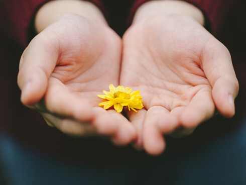 La medicina palliativa necessita di lavorare costantemente per affinare udito, cuore e mente all'ascolto dei bisogni dell'altro