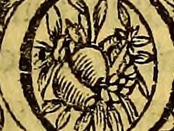 Imagem da página 20 do livro "Cultura, e opulência do Brasil por suas drogas, e minas", de André João Antonil, 1711. Além de marcar identidades regionais, os sotaques brasileiros também são uma fonte de orgulho para muitas comunidades. Em um país tão diverso, a maneira de falar se torna um símbolo de pertencimento e resistência cultural. Por isso, compreender e valorizar essa diversidade é essencial para fortalecer a identidade nacional e combater preconceitos linguísticos