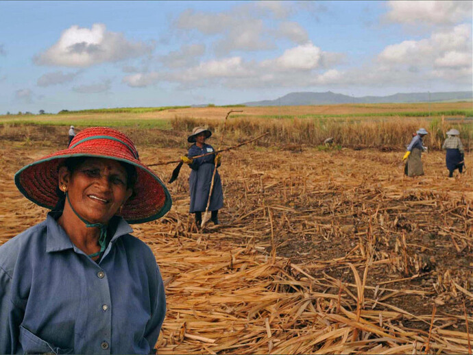 Pablo Bartholomew. Agricultores indianos