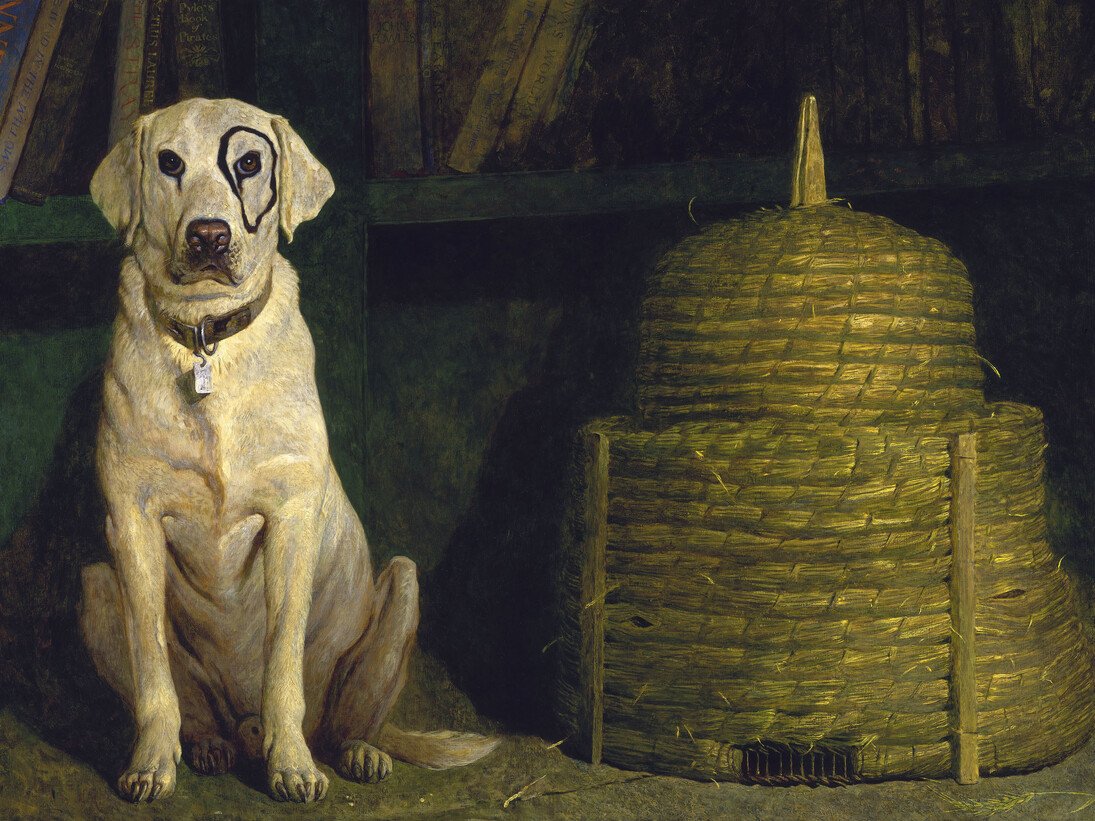 Jamie Wyeth, Kleberg, 1984, Oil on canvas, Terra Foundation for American Art, Daniel J. Terra Collection, 1992.184. © Jamie Wyeth. Courtesy, Museum of Fine Arts, Boston