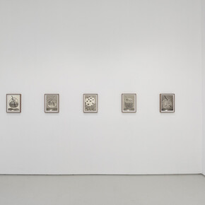 Michael Dopp, Capriccio, Installation View. Courtesy of Roberts & Tilton
