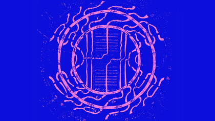 Granchite Yumtruso Pt. II, cover