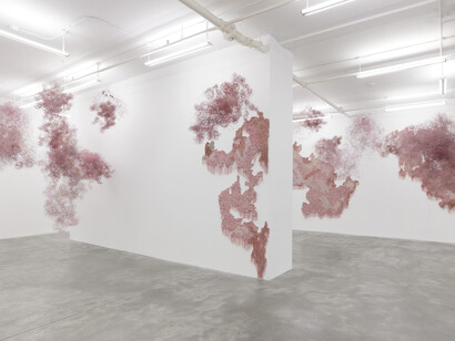 Igshaan Adams, Verkenning, exhibition view. Courtesy of Casey Kaplan Gallery