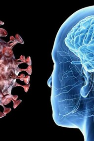 Los retrasos en la búsqueda de atención médica por accidente cerebrovascular son más perjudiciales que el impacto de la propia COVID-19