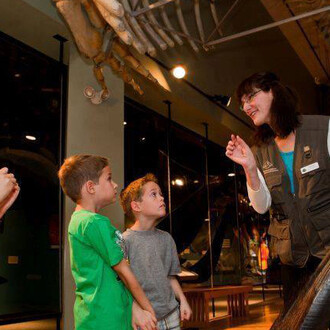 Hall of Great Whales. Courtesy of New Brunswick Museum