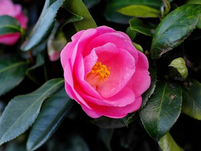 L’amore è anima, è respiro, è vita