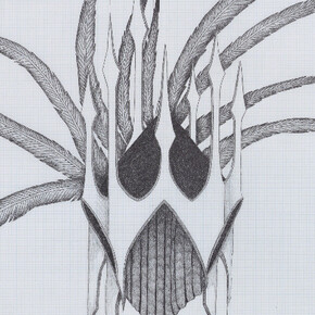 Afruz Amighi. Courtesy of Leila Heller Gallery