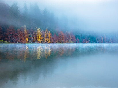 La calma es un estado de ánimo que nos permite contemplar la belleza de la vida y apreciar las cosas simples