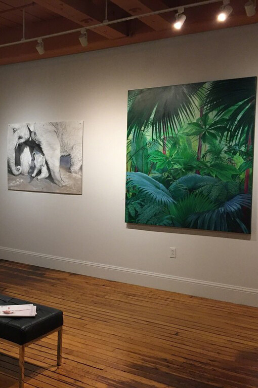 A Memory of Elephants. Courtesy of ArtProv Gallery 