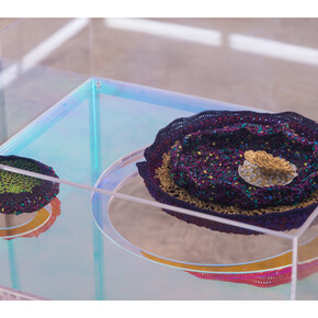 Ana Maria Tavares: Euryale Amazonica, Sicardi Gallery installation view, October 30 - December 20, 2014. Photography by Logan Sebastian Beck.