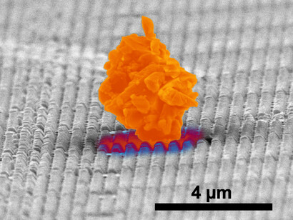 Nuovi tessuti potranno ostacolare l’adesione della regolite alle tute.
Credit: The University of Texas at Austin