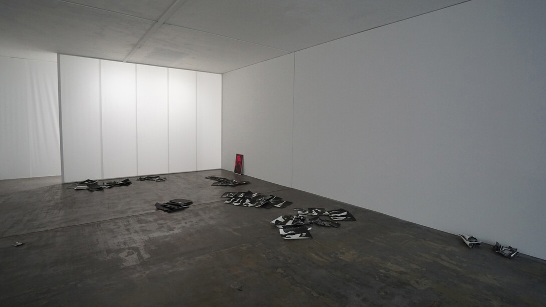 Erwin Kneihsl. Courtesy of Galerie Guido W. Baudach